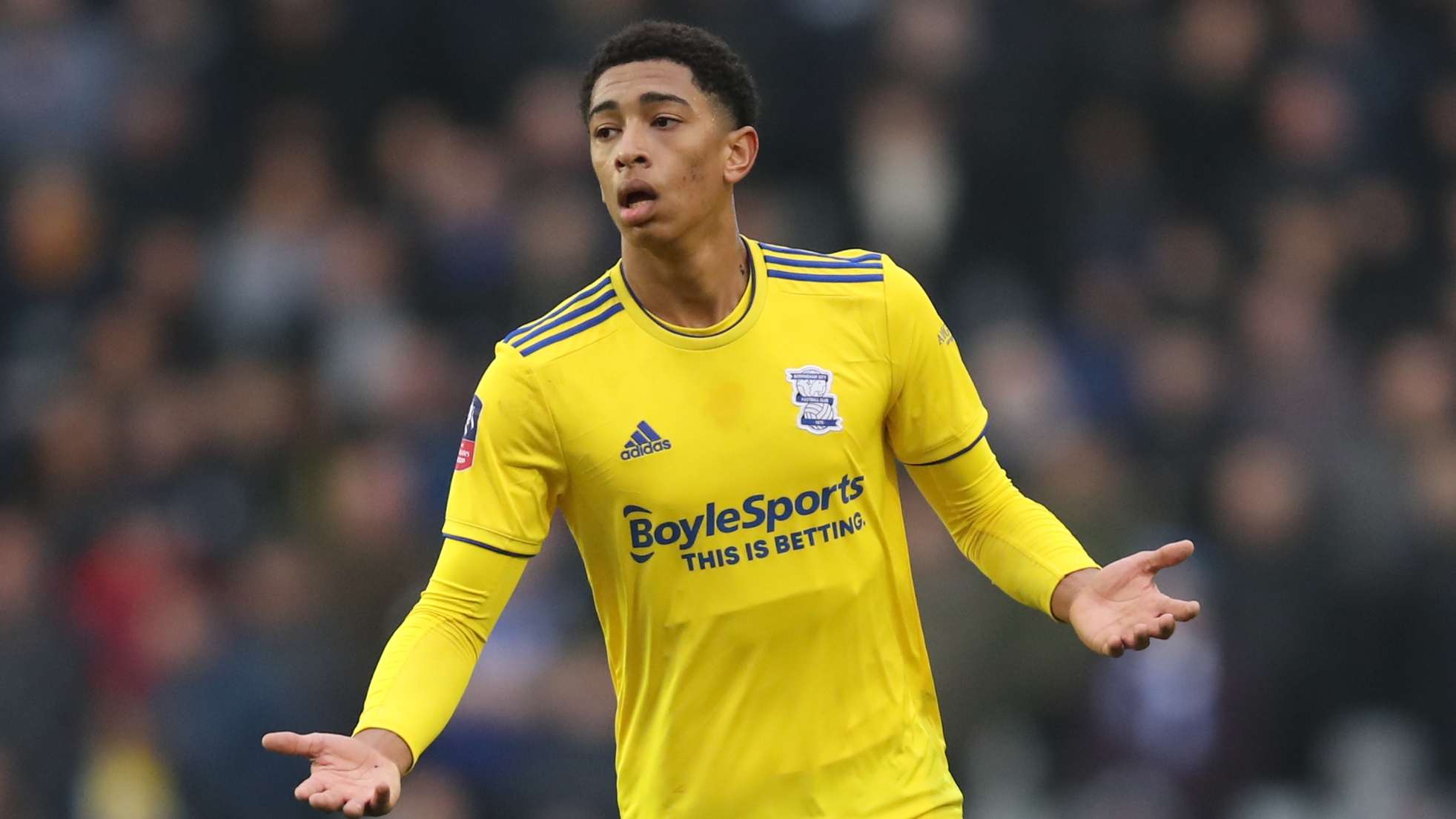 供了稳定的 供了稳定的